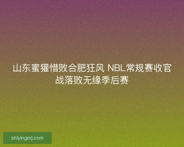 山东蜜獾惜败合肥狂风 NBL常规赛收官战落败无缘季后赛